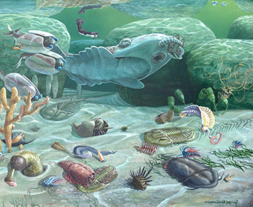Cambrian ocean animals