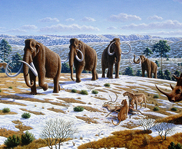 Ice age mammals