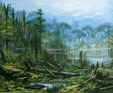 Carboniferous swamp