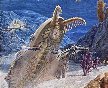 Trilobite in Ordovician sea