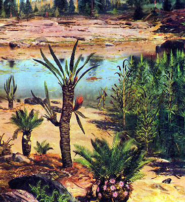 Mesozoic era plant life